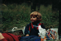 2_Picknick-im-Wald
